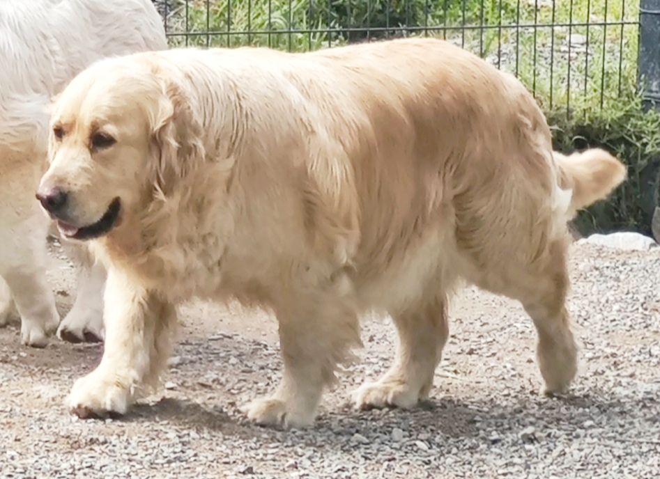 So cute Du Clos De Compostelle